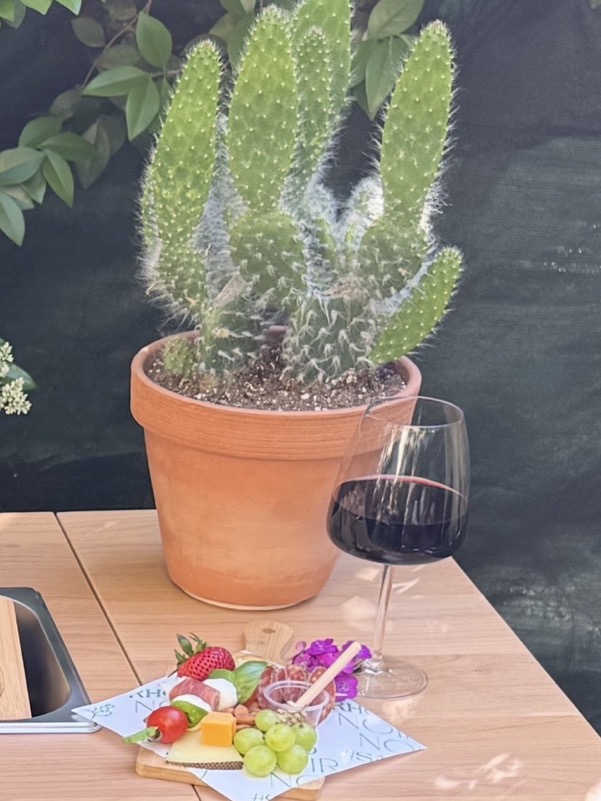 A small plated charcuterie snack with a glass of red wine, set on the edge of the cart